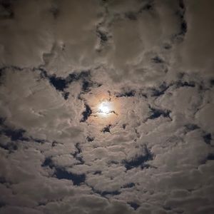 Meet your Posher, Leslie